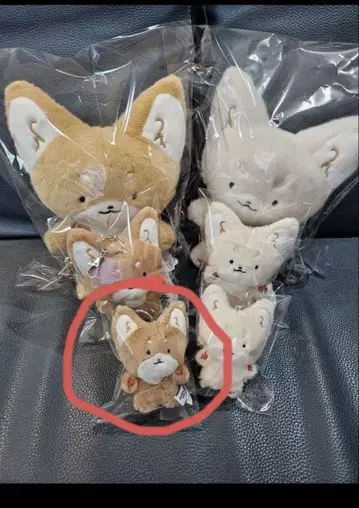 700kitsunene 키링 김재현 착용 보플