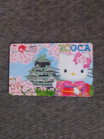 키티 이코카