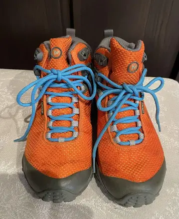 MERELL 하이컷 스니커즈 여성용 24cm