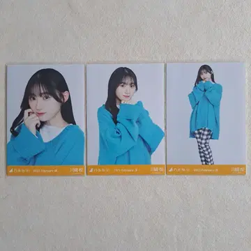 노기자카46 카와사키 벚꽃 브로마이드