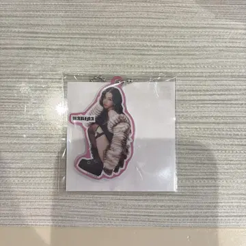 aespa LIVE TOUR 랜덤 토이 아크릴 키링 카리나