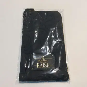 도모토 코이치 RAISE 응원봉 케이스