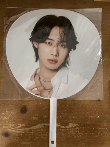 Hi-Fi Un!corn 현율 부채