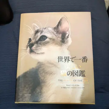 세상에서 가장 아름다운 고양이 도감