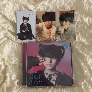 초특급 NINE LIVES 하루 솔로반 트레이딩 카드 CD