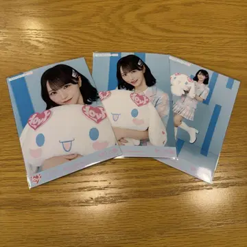 노구치 이오리 브로마이드 시나몬 컴프