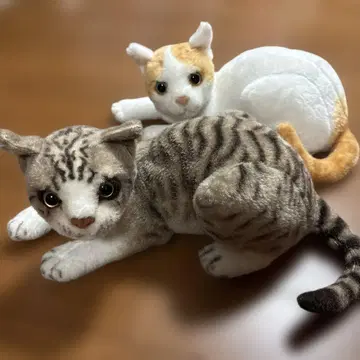 고양이 봉제 인형 세트 (태비 고양이, 화이트 고양이)