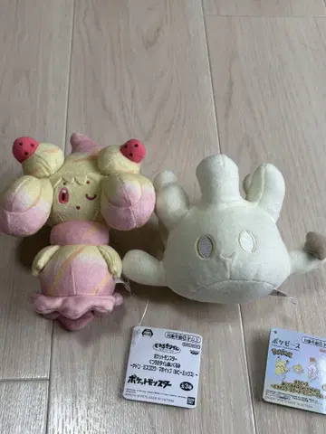 포켓몬 봉제 인형 2체 세트