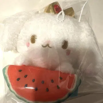 JOCHUM RURU 마스코트