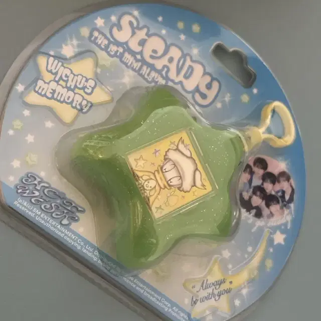 료 스테디 steady 키링 앨범 위시 wish