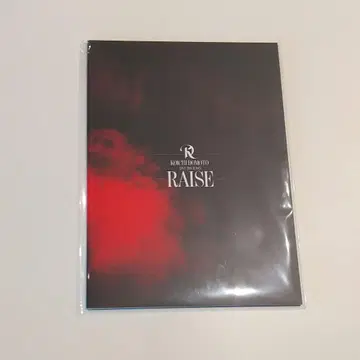 도모토 코이치 팜플렛 RAISE 굿즈