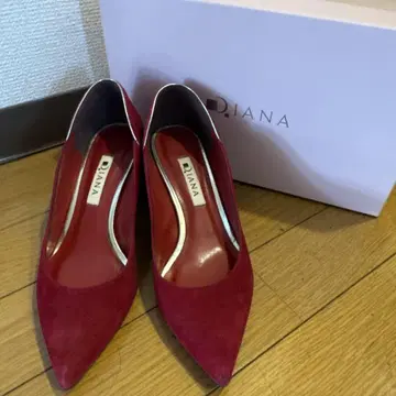 DIANA 펌프스