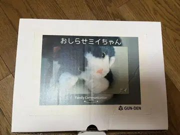군마 전기 오시라세 미이짱
