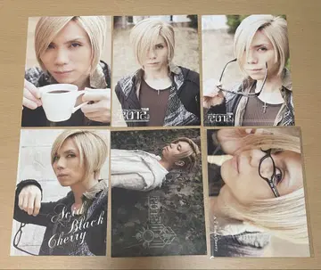 Acid Black Cherry 엽서 6장 세트