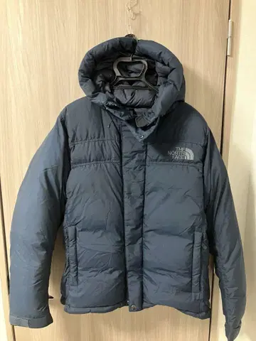 THE NORTH FACE 다운 자켓 L (GORETEX)