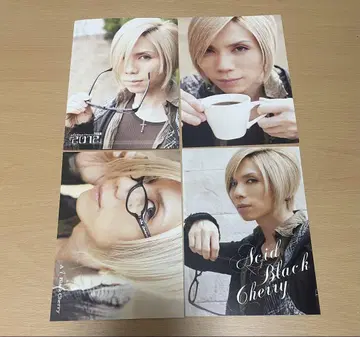 Acid Black Cherry 엽서 4장 세트