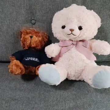 곰 봉제 인형 세트 ( 핑크 브라운 )