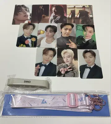 SEVENTEEN 디노 종합 굿즈