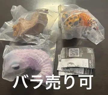 생물대도감 레오파와 크레스