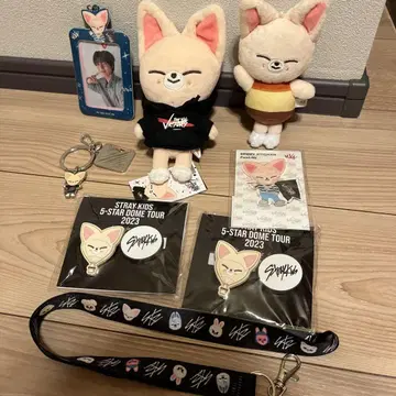 Stray Kids 폭시니 굿즈 세트