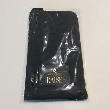 도모토 코이치 RAISE 응원봉 케이스