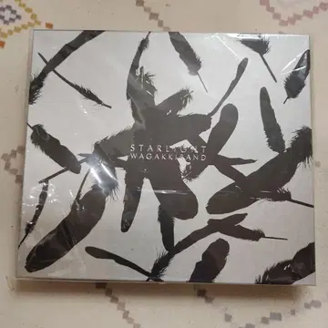 일본 전통 악기 밴드 / Starlight E. P. [신 야에류반]