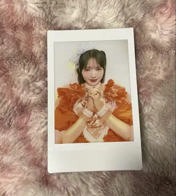 진세이 스즈카 폴라로이드