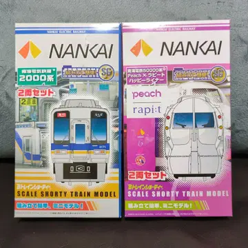 NANKAI 2000계 & Peach 기차 2량 세트