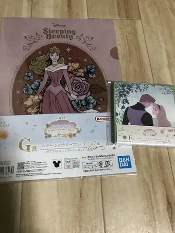 디즈니 제일복권 잠자는 숲속의 공주 파일, 캠퍼스 보드