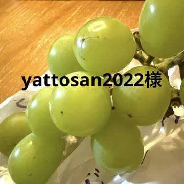 하마학원 2024학년도 초5 S클래스 복습 테스트
