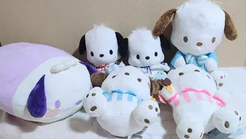 [ 레어 ] 산리오 포차코 BIG 봉제 인형 쿠션 묶음 판매 6점