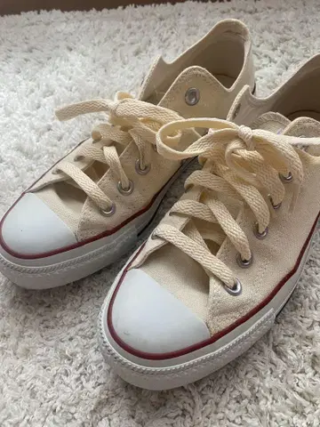 CONVERSE ALL STAR 크림색 스니커즈 24.5cm