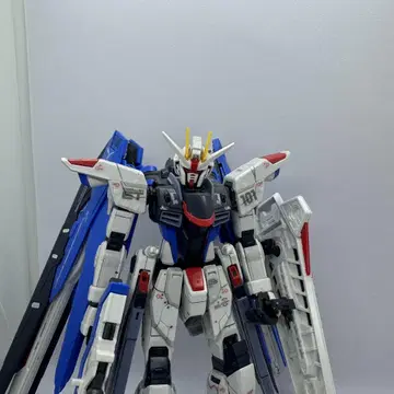 RG 프리덤 건담 본체만