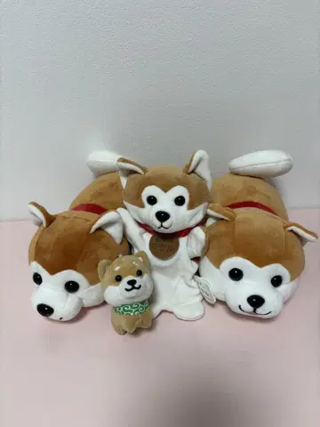 시바견 봉제 인형 세트