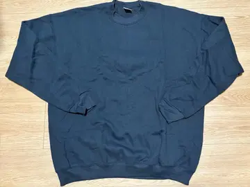 데드스탁 프룻 오브 더 룸 빅사이즈 맨투맨 USA제 90s