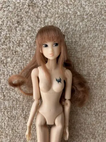 momoko 본체만 머리 하자 있음