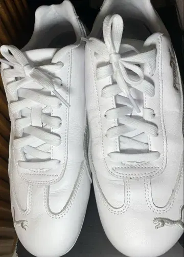 새상품급 PUMA 스피도캣 24.5cm