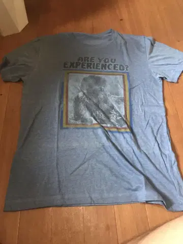 ARE YOU EXPERIENCED? 빈티지 티셔츠