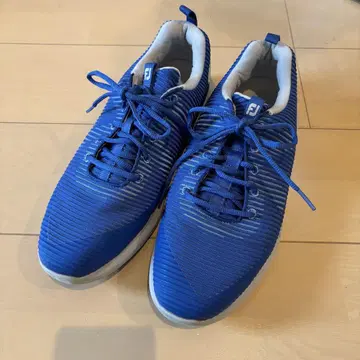 FootJoy 풋조이 플렉스XP 골프화 블루 27.5cm