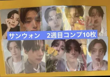 삼원 2주차 트레이딩 카드 10장 컴프 세트