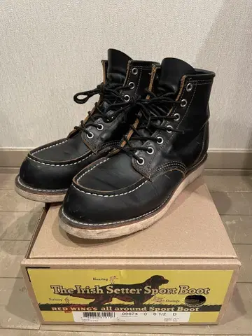 RED WING 아이리쉬 세터 6인치 목 차심 구형 모델