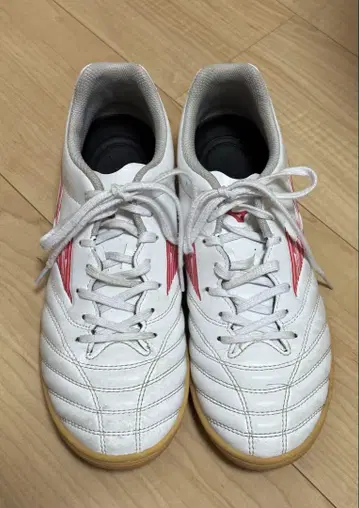미즈노 모나르시다 풋살화 실내 25.5cm