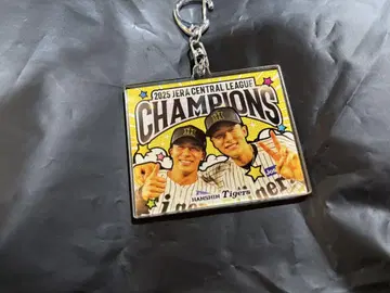 한신 타이거즈 오바타 류헤이 우에다 카이 시크릿 아크릴 키링