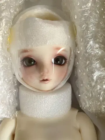 보크스 슈퍼돌피 돌파 51 SDM 사키 Saki volks
