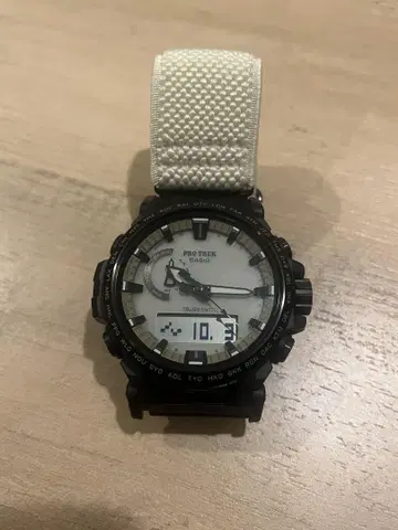 CASIO 프로트렉 PRW-61LD