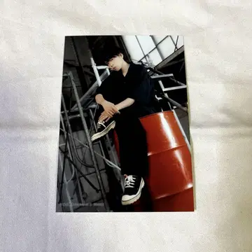 집사 카페 스왈로우테일 할로윈 페어 브로마이드 아카시