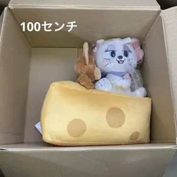 가득 담기