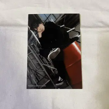 집사 카페 스왈로우테일 할로윈 페어 브로마이드 코노에