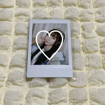 온 특 폴라로이드 마나카 마나