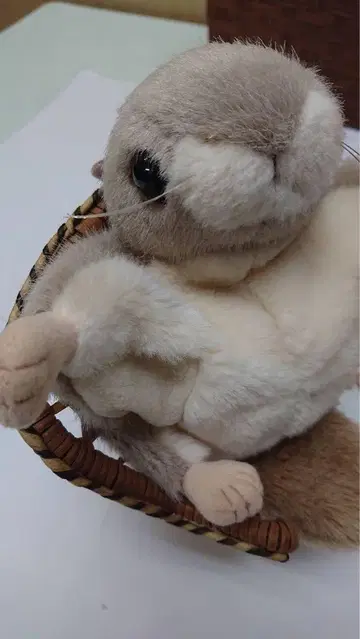 우에노 동물원 봉제 인형 모몽가 날다람쥐